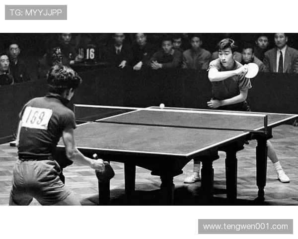 南京乒乓球队战术解析与控制体系的深度剖析与应用探讨